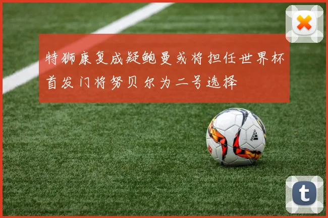 特狮康复成疑鲍曼或将担任世界杯首发门将努贝尔为二号选择