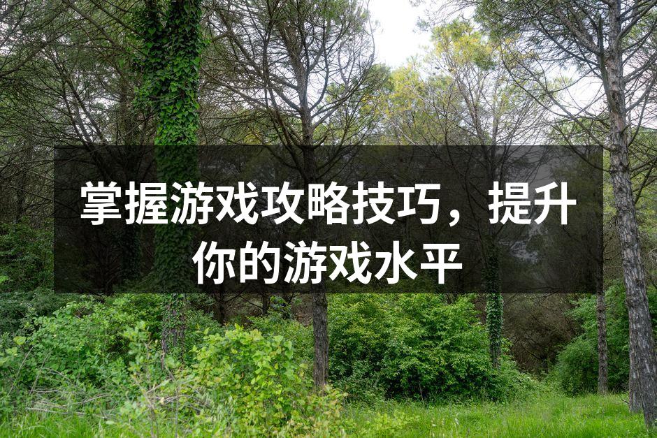 掌握游戏攻略技巧，提升你的游戏水平